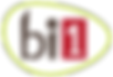 Bi12022 (2).png